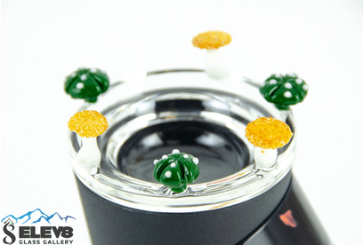 SSV Glass Open Aroma Top Dish by GMAY Glass