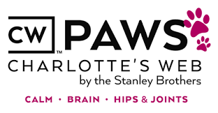 PAWS official Elev8 Glass Gallery artist image